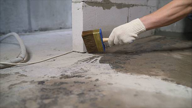 SJ Waterproofing Pros Waterproofing coverage map for Mount Olive, AL and surrounding area
